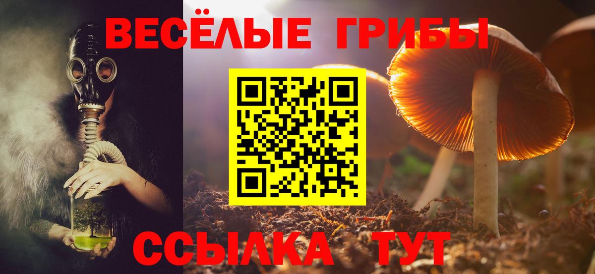 Псилоцибиновые грибы Cubensis Лениногорск